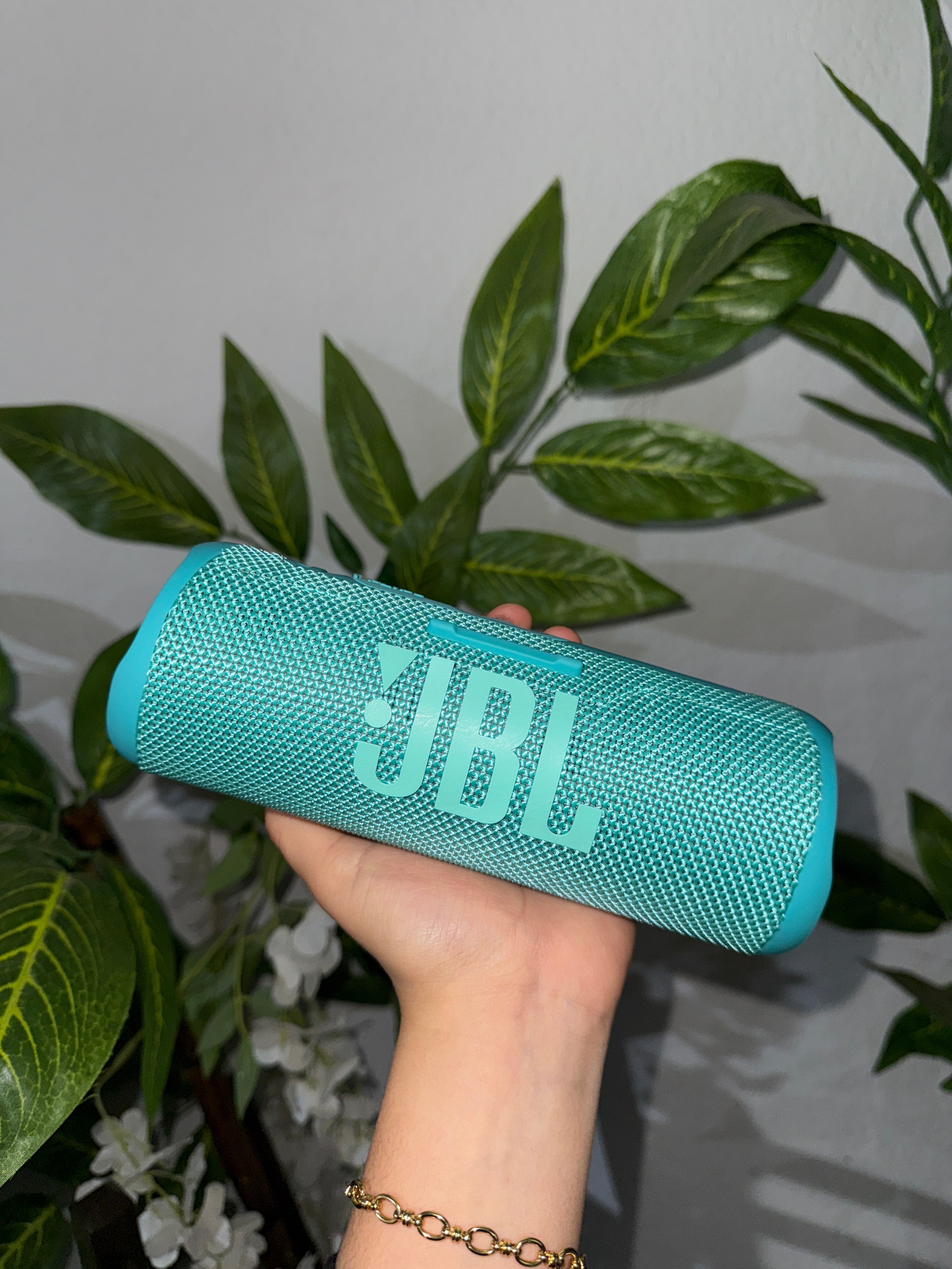 JBL FLIP 6