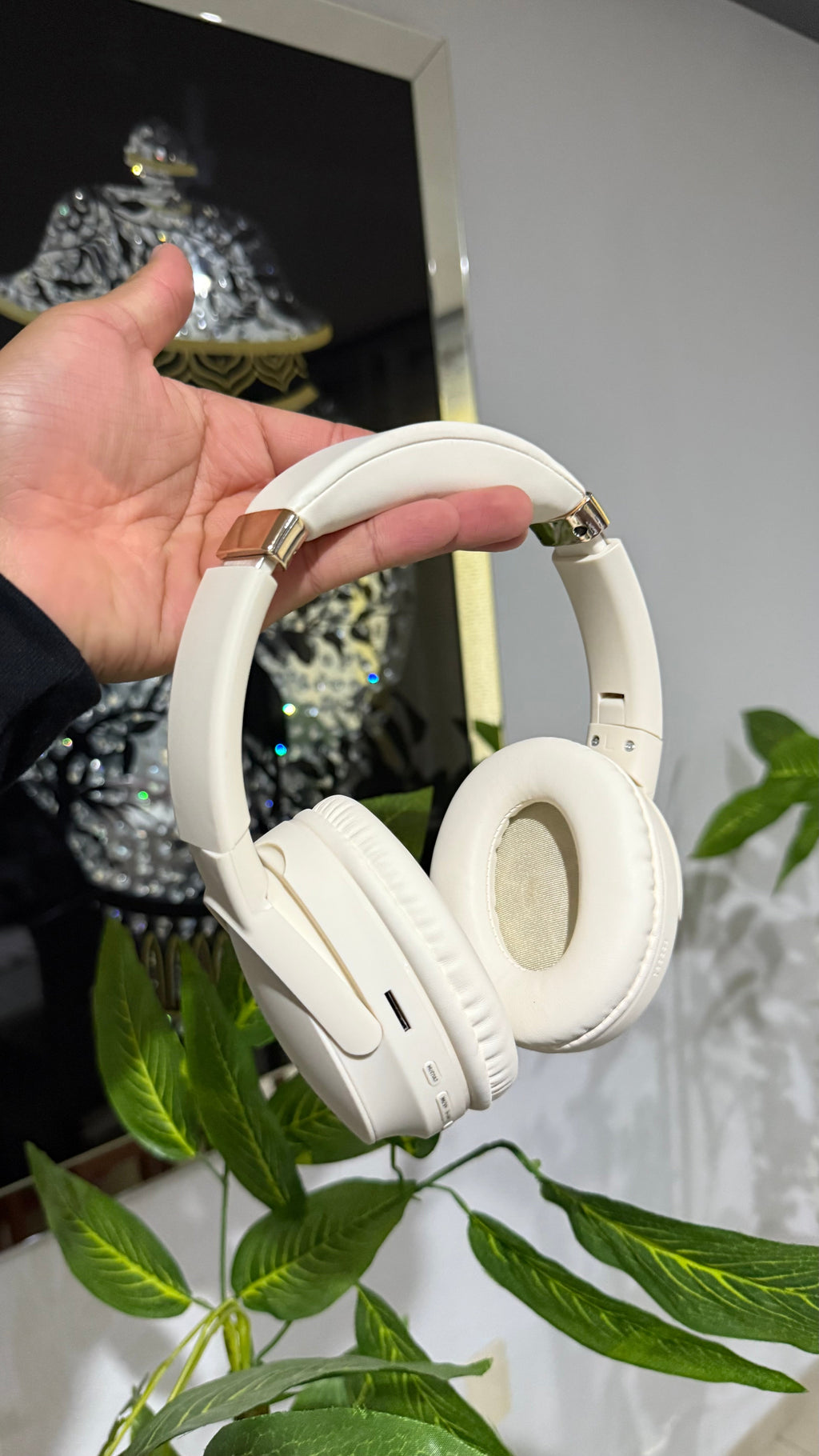 Bose studio